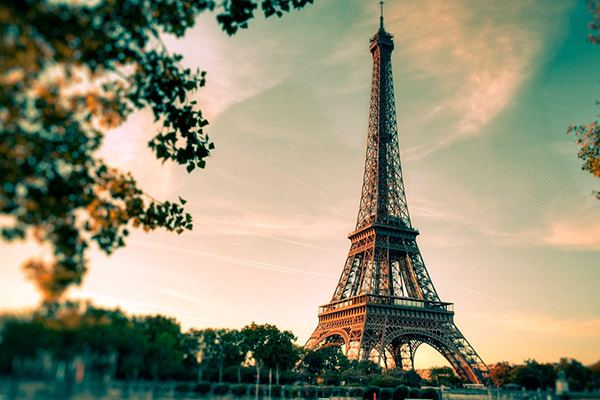 francia francia